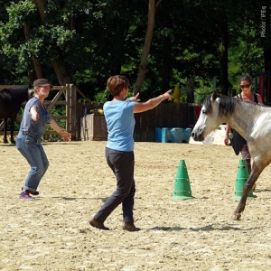 Faire a cheval equitherapie groupe
